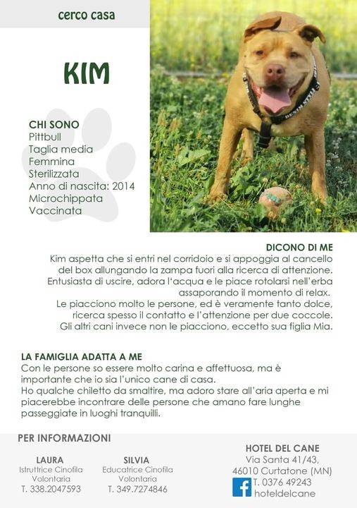  - Hotel del Cane